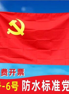 五星红旗中国国旗 党旗 少先队队旗 2345678党旗户外旗帜定制定做