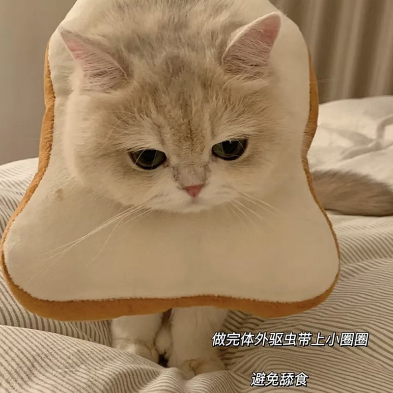 猫咪项圈伊丽莎白圈防舔吐司面包片绝育围脖圈可调节可爱宠物头套,淘宝优惠券,粉丝福利购,淘宝优惠卷