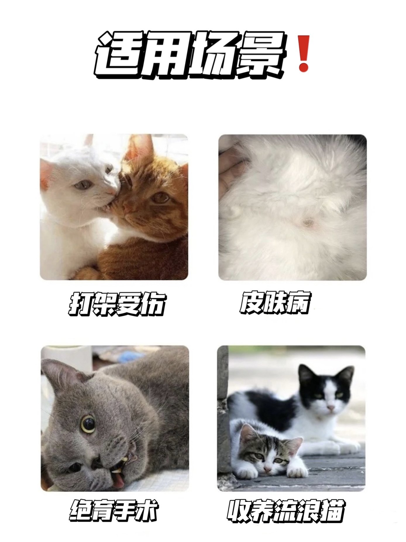 猫咪项圈伊丽莎白圈防舔吐司面包片绝育围脖圈可调节可爱宠物头套,淘宝优惠券,粉丝福利购,淘宝优惠卷