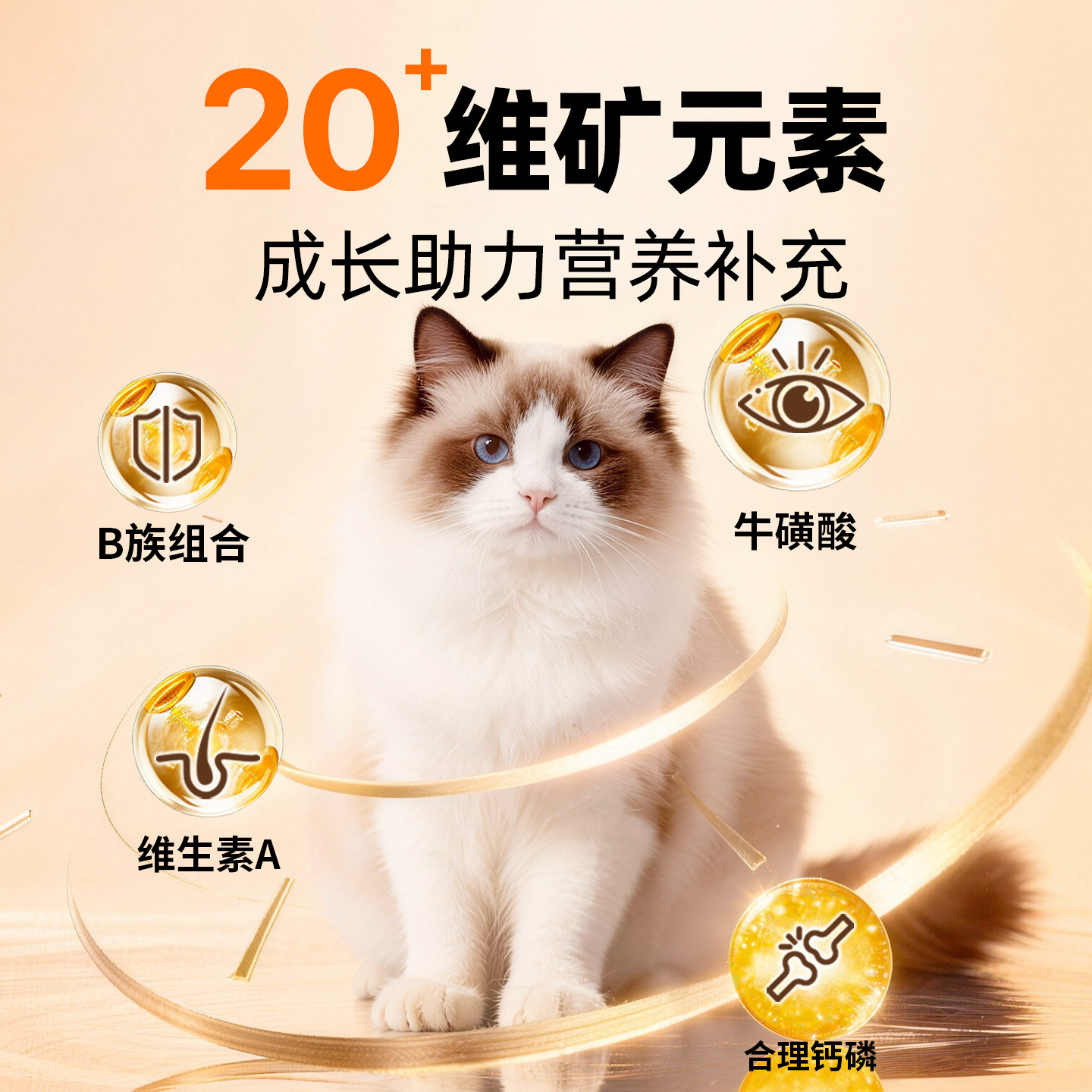 图 4