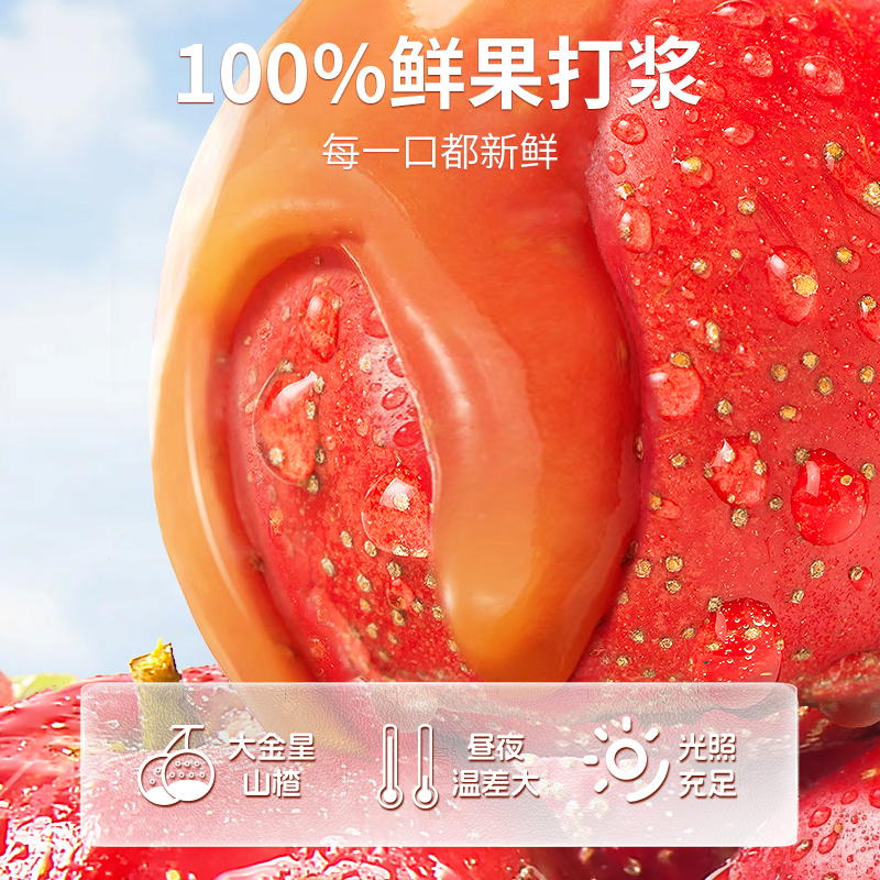 心迪妈妈山楂棒棒糖无添加蔗糖山楂鸡内金牛脾肽水果条儿童零食