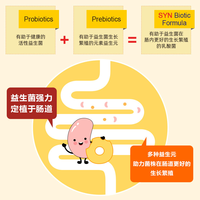 韩国钟根堂lacto-fit生60袋益生元 LACTOFIT海外益生菌