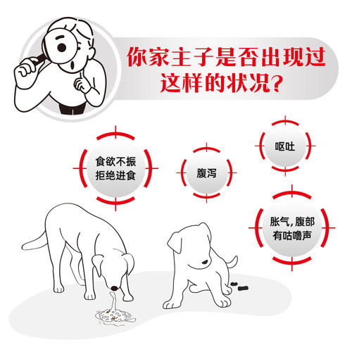 【618立即下单】皇家狗粮成犬肠道全价处方粮GI25促进肠胃消化4KG - 图1