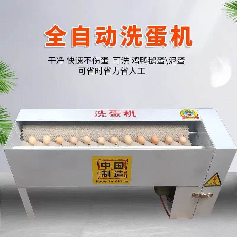 自动蛋品清洗机不锈钢洗蛋机小型鸡蛋鸭蛋清洗机商用洗蛋机,淘宝优惠券,粉丝福利购,淘宝优惠卷