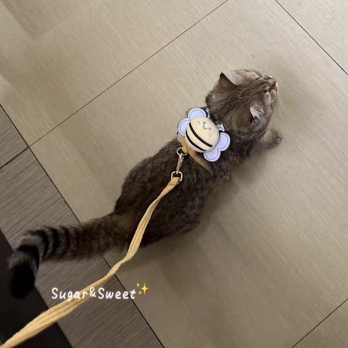 猫咪牵引绳胸围狗狗宠物出行遛猫绳防挣脱工字可调节金渐层幼小猫,淘宝优惠券,粉丝福利购,淘宝优惠卷