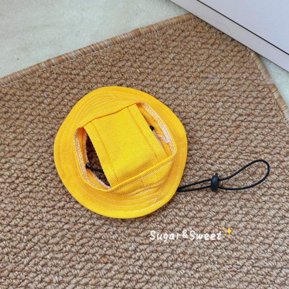 可爱小黄帽猫咪帽子宠物防晒帽外出狗狗渔夫帽头套装饰品夏日激萌,淘宝优惠券,粉丝福利购,淘宝优惠卷