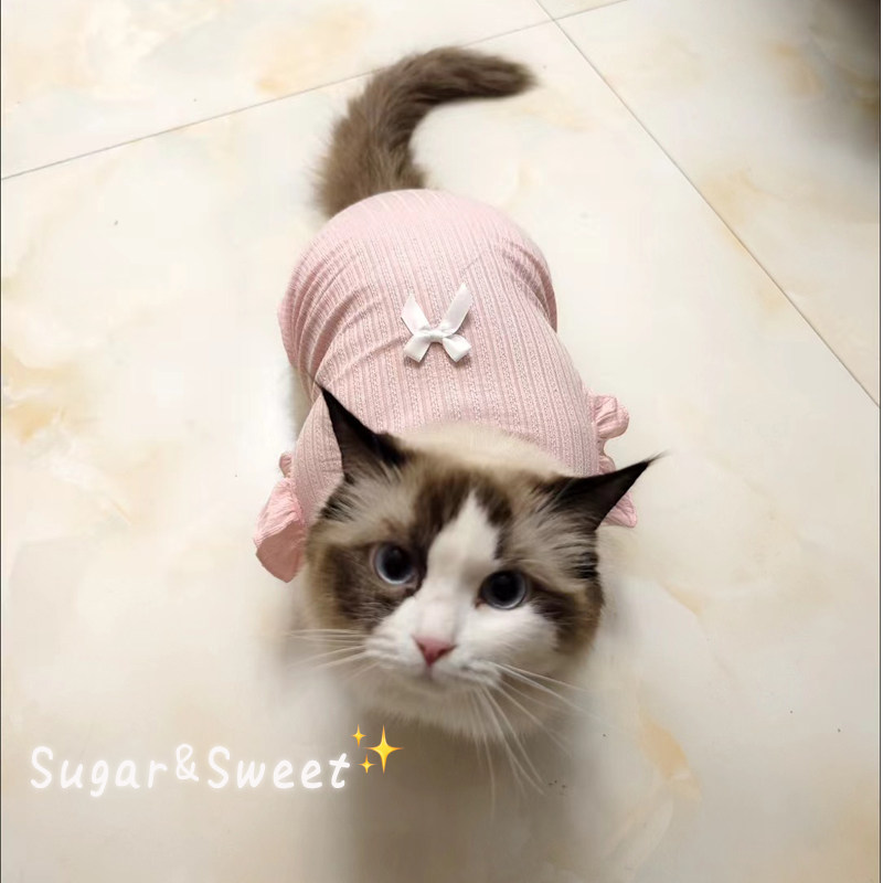 宠物猫咪狗狗衣服名媛风泰迪博美比熊贵宾雪纳瑞小型幼犬薄款透气,淘宝优惠券,粉丝福利购,淘宝优惠卷