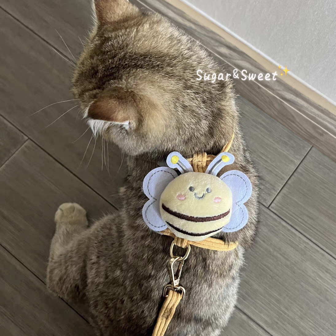 猫咪牵引绳胸围狗狗宠物出行遛猫绳防挣脱工字可调节金渐层幼小猫,淘宝优惠券,粉丝福利购,淘宝优惠卷