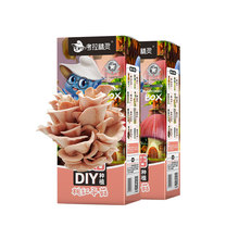 考拉精灵DIY可食用蘑菇