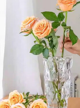 客厅摆件餐桌简约花瓶玻璃