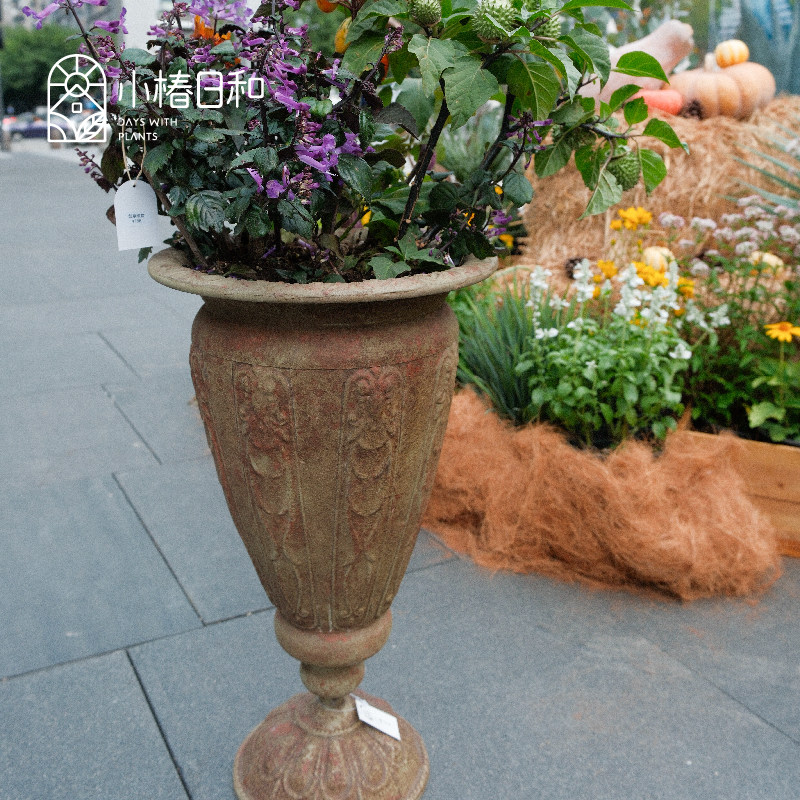 小椿日和 外贸铁艺奖杯盆 酒杯盆聚宝盆园艺杂货家居摆件复古花盆,淘宝优惠券,粉丝福利购,淘宝优惠卷