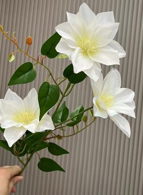 仿真绢布铁线莲 家居软装摆件仿真玉兰花 婚庆假花布置背景墙