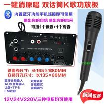 One-key pastime singing 12V24V220V Bluetooth dual-microphone high-power power amplifier board low sound gun speaker motherboard home for home