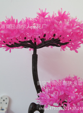 仿真盆栽仿真花塑料植物盆景时尚桌面装饰家居小摆件拍摄道具