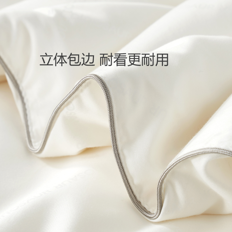 Dinosaur恐龙家纺蚕丝被双人四季通用加厚新款A类蚕丝被100桑蚕丝 - 图2
