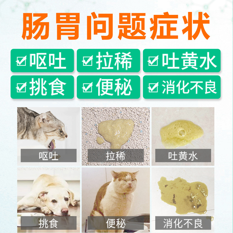 小宠猫咪益生菌狗狗调理肠胃宝宠物泰迪幼犬猫专用呕吐软便秘拉稀 - 图0