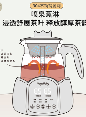 德国进口煮茶壶喷淋式家用煮茶器