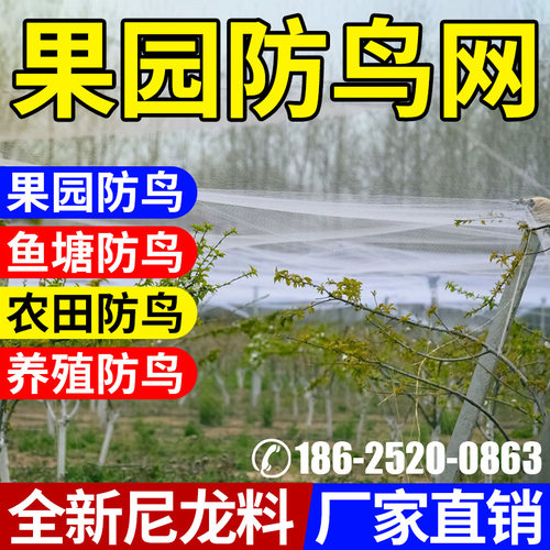 防鸟网白色抗老化尼龙果园果树养殖天网葡萄樱桃枇杷鱼塘水稻枸杞 - 图0