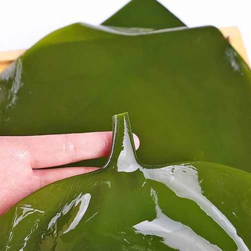 海带根新鲜5斤盐渍海带片厚炖排骨火锅凉拌中短头荣成嫩海带头 - 图3