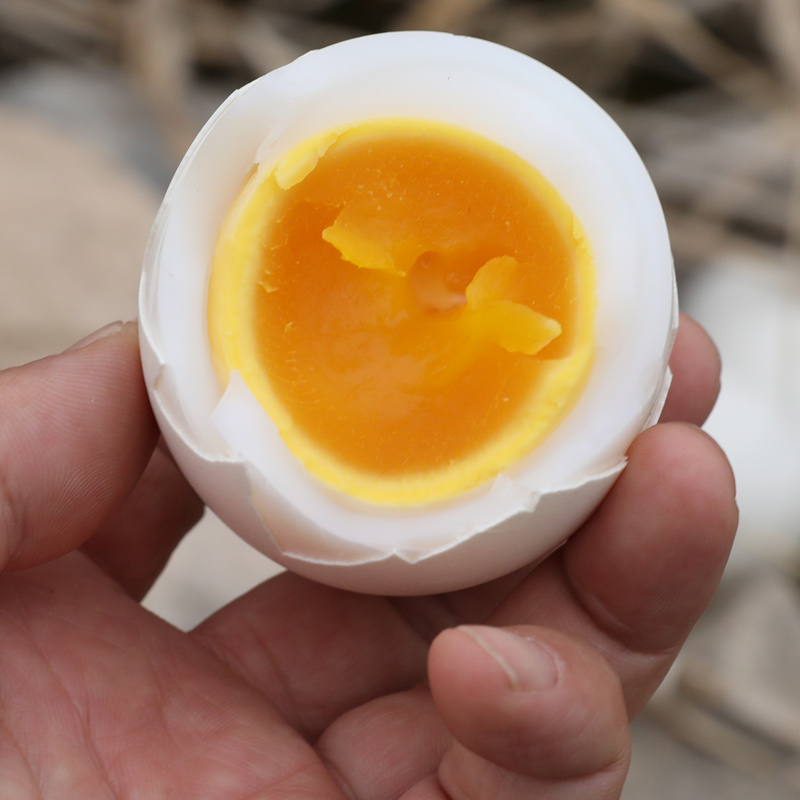 密之蓝天农家散养鹅蛋河套自由觅食自然产蛋个大蛋香浓郁八枚包邮 - 图0