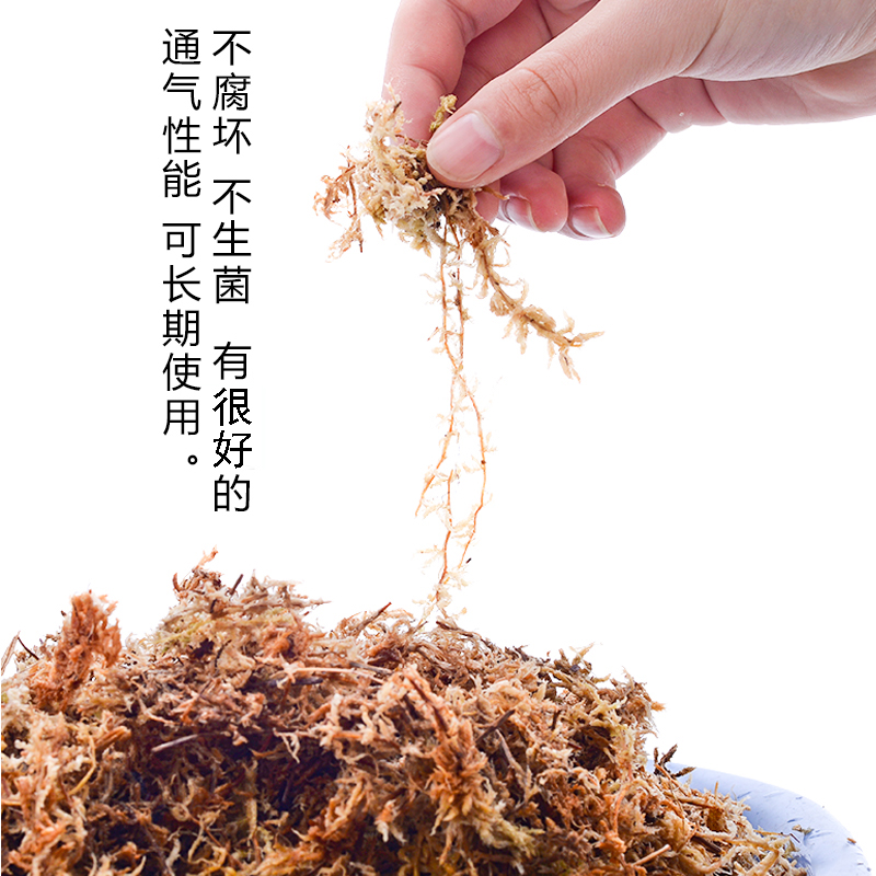 压缩苔藓天然水苔爬宠保湿垫材乌龟冬眠保温爬虫角蛙蝎子运输防震 - 图2