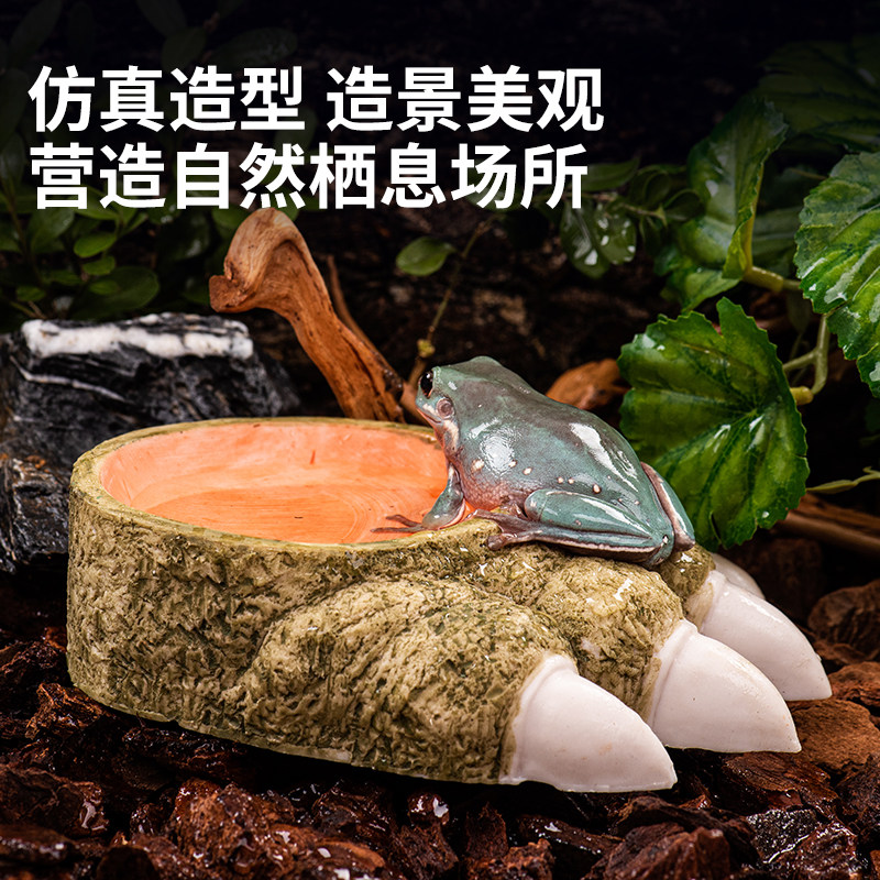 守宫蜘蛛寄居蟹角蛙水盆爬宠蜥蜴食盆泡澡盆爬虫饲养箱创意造景,淘宝优惠券,粉丝福利购,淘宝优惠卷