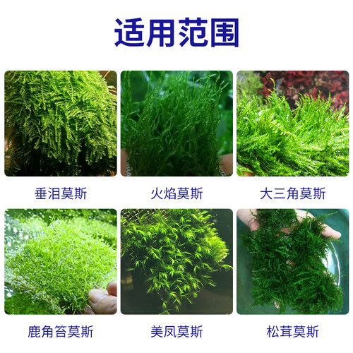 水草专用胶速干胶强力万能粘骨架沉木珊瑚青苔石头莫丝水族鱼缸造景水下专用胶莫斯胶快干胶水 - 图2