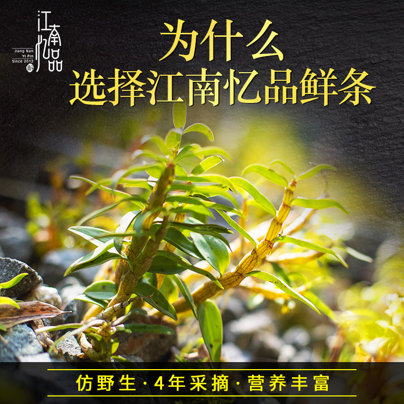 江南忆品新鲜铁皮鲜条500g食用枫斗 江南忆品石斛/枫斗