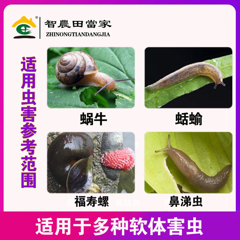 蜗牛药菜地杀蜗牛药鼻涕虫专用四聚乙醛四聚乙酫颗粒灭蜗牛杀虫剂 - 图0