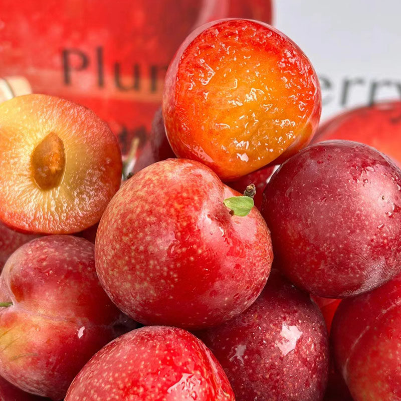 空运智利樱桃李5斤新鲜进口李子水果红奈鸡心李当季整箱顺丰包邮,淘宝优惠券,粉丝福利购,淘宝优惠卷