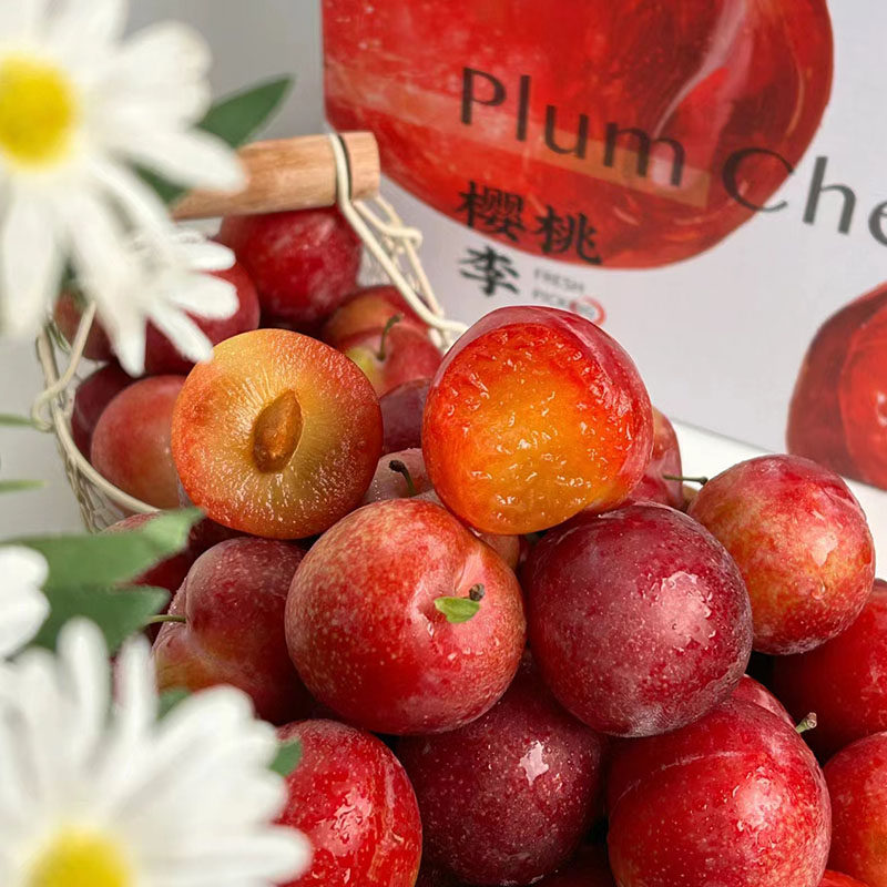 空运智利樱桃李5斤新鲜进口李子水果红奈鸡心李当季整箱顺丰包邮,淘宝优惠券,粉丝福利购,淘宝优惠卷