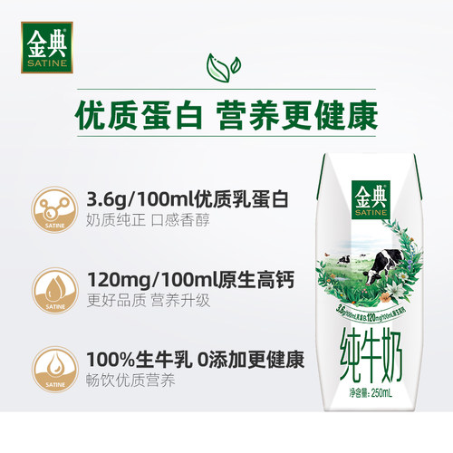 金典旗舰店纯牛奶250ml*16盒*2箱伊利牛奶送礼优质蛋白MS【5月】 - 图1