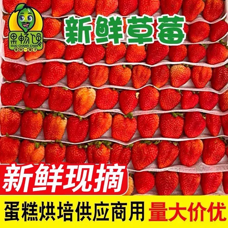 四季草莓新鲜水果烘焙蛋糕茶饮双流鲜草莓时令夏季酸草莓同城水果,淘宝优惠券,粉丝福利购,淘宝优惠卷