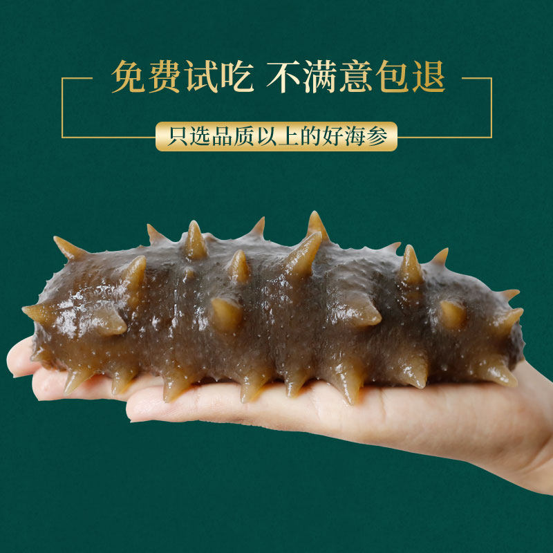 锦食岛大连淡干海参50g辽刺参海参 锦食岛明歌干品/即食海参