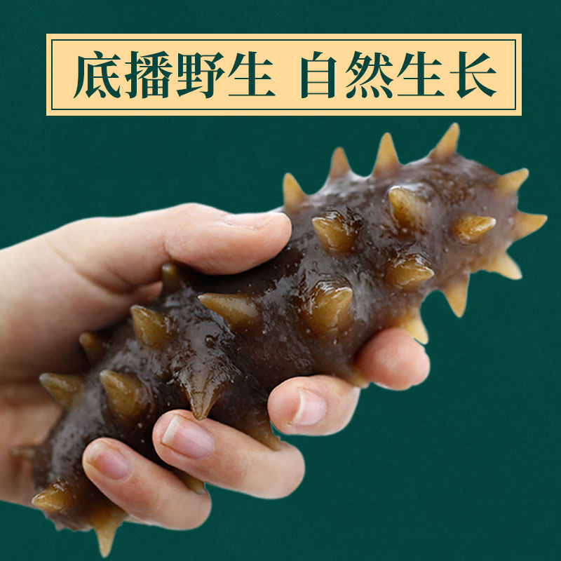 锦食岛大连淡干海参50g辽刺参海参 锦食岛明歌干品/即食海参
