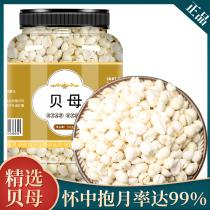 Sichuan Fritillary Chinese Herbal Medicine Official Flagship Store 500 gr Sichuan Bay Non Wild Pine Bay Efficacy Flat Fritillary Grain