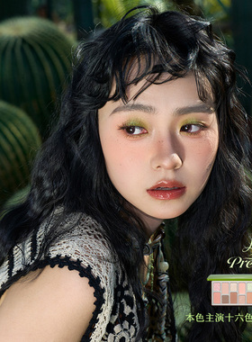 千妍16色眼影彩妆腮红组合