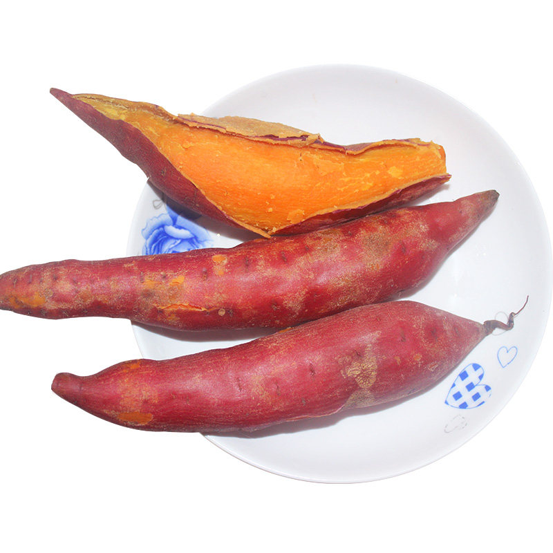 兰考西瓜红番薯黄河沙地超甜红薯 悦漾番薯