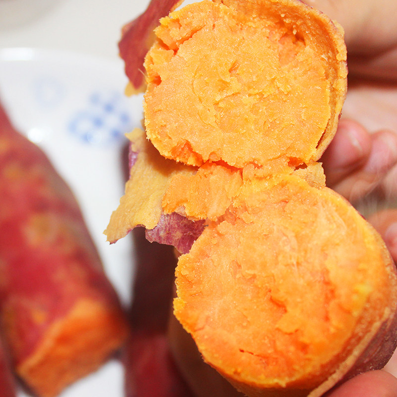 兰考西瓜红番薯黄河沙地超甜红薯 悦漾番薯