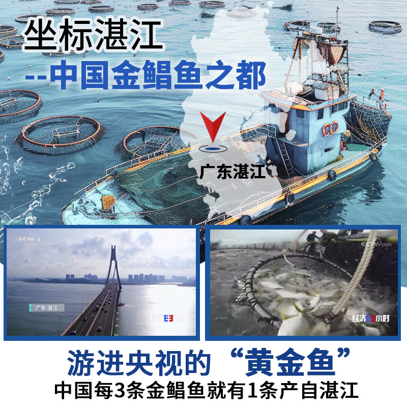 【顺丰】潮夫道湛江金鲳鱼新鲜冷冻特大金昌鱼海鱼海鲜水产鲜活,淘宝优惠券,粉丝福利购,淘宝优惠卷