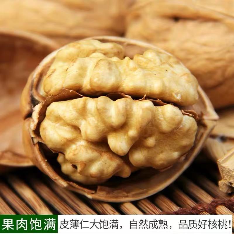 新货新疆纸皮核桃5斤包邮阿克苏185核桃原味无添加手剥薄皮孕妇 - 图1