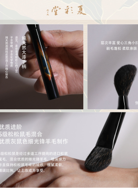 夏彩堂咏乐化妆刷DS09眼影刷轻薄小号斜坡水光液体腮红刷修容刷子