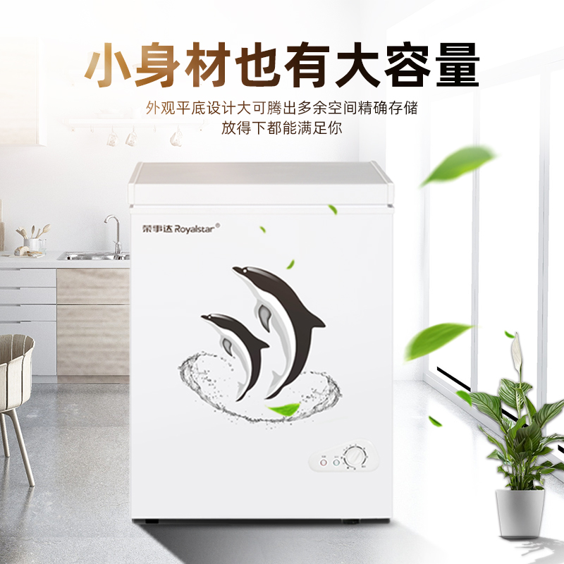 小冷柜家用商用大容量冷冻柜迷你冰柜小型保鲜冷藏两用 136L 荣事达 小冷柜家用商用大容量冷冻柜迷你冰柜小型保鲜冷藏两用 136L 荣事达
