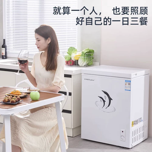 Rongshida небольшая морозильная камера предоставлена ​​небольшая полная замороженная охлажденная двухподобная шкафа мини -холодный шкаф первого уровня питания