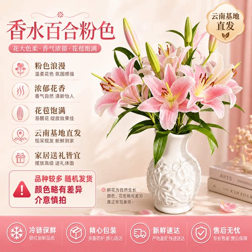 黄天霸百合花小雏菊鲜花黄色重瓣香水百合顺丰次日达插瓶水养花卉 - 图1