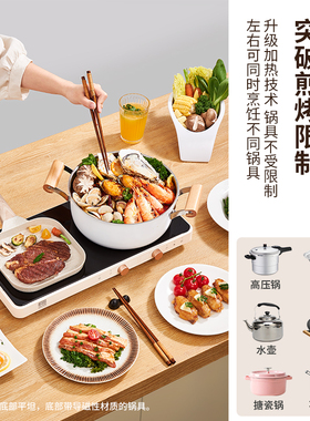 日本石崎成器多功能料理烤肉机
