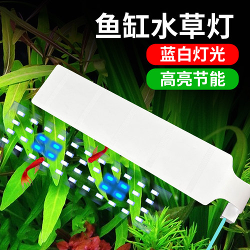 鱼缸水族箱客厅桌面创意造景生态超白玻璃家用金鱼缸中小型免换水 - 图2