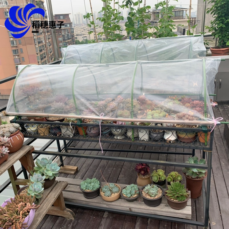 保温防冻花棚温室 新人首单立减十元 22年9月 淘宝海外