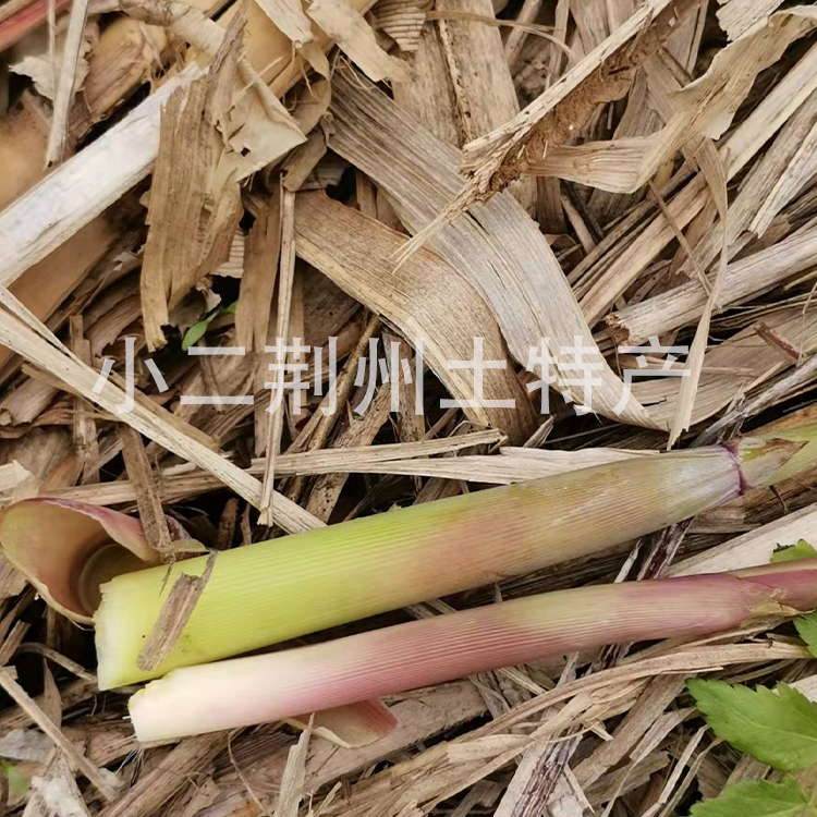 荆州特产野生芦苇笋柴笋子狄笋芦笋新鲜蔬菜野菜财笋鲜嫩五斤包邮 - 图2