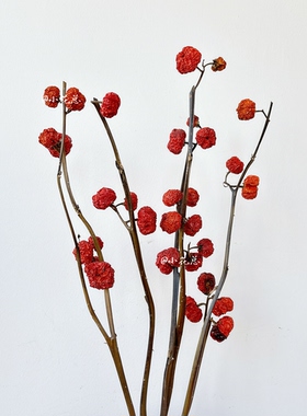 小南瓜干花包节日场景装饰布置摆件拍摄道具红色喜庆原生态干果包